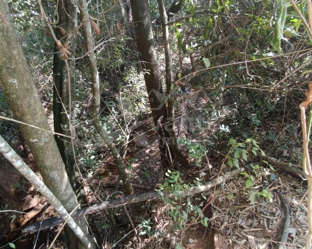 Avante Imóveis ajudando você a realizar seu sonho