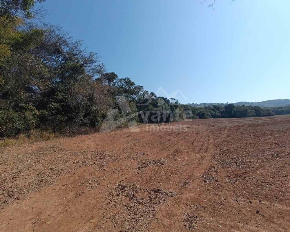 Avante Imóveis ajudando você a realizar seu sonho