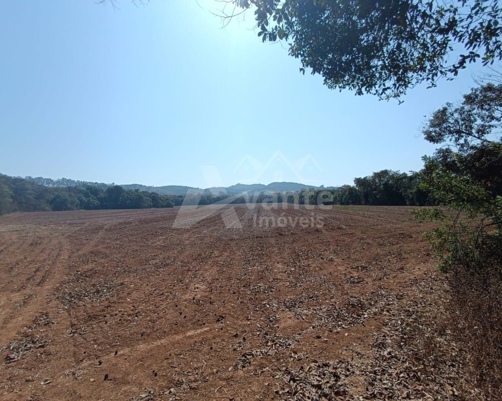 Avante Imóveis ajudando você a realizar seu sonho