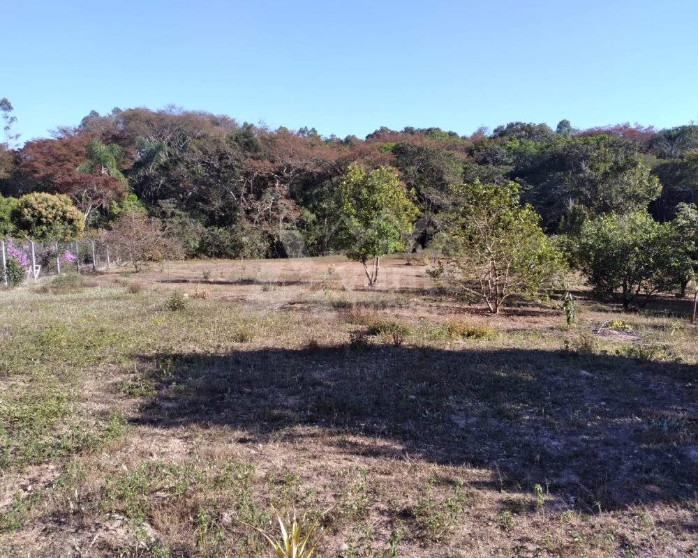 Avante Imóveis ajudando você a realizar seu sonho