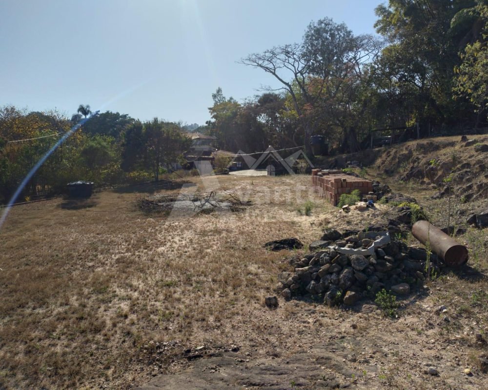 Avante Imóveis ajudando você a realizar seu sonho