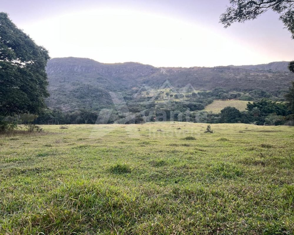 Avante Imóveis ajudando você a realizar o sonho da casa própria