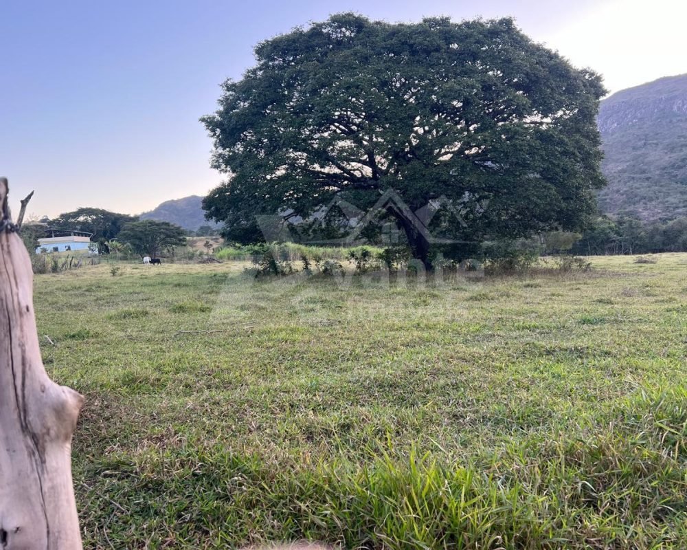Avante Imóveis ajudando você a realizar o sonho da casa própria