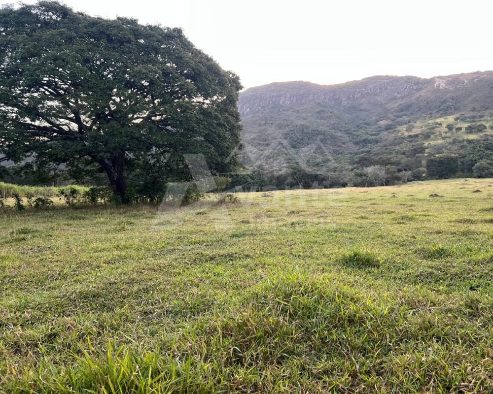Avante Imóveis ajudando você a realizar o sonho da casa própria
