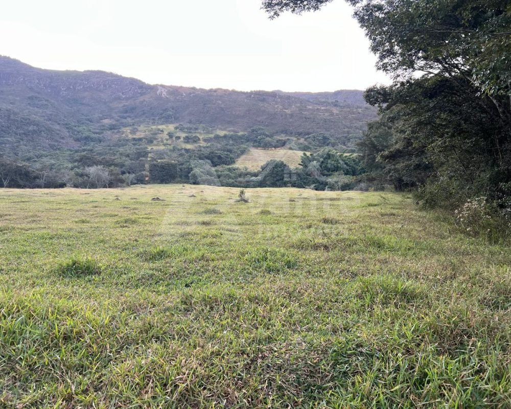 Avante Imóveis ajudando você a realizar o sonho da casa própria